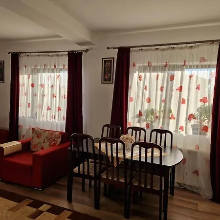 Casa Si Curte Confortabila Vila